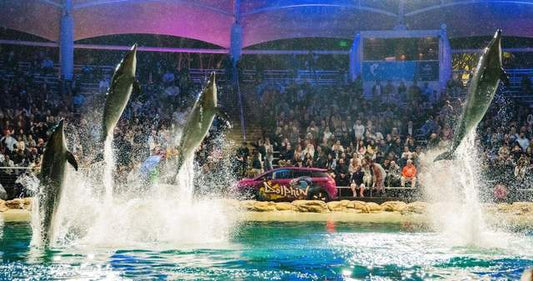 BYD DOLPHIN Launches in Australia, Combining the Best of Both Worlds