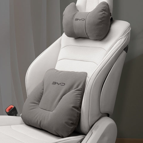 BYD Neck and Lumbar Support Pillow Pack