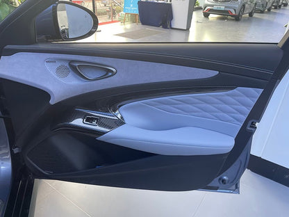 BYD SEAL Glass Door Panel Carbon fibre