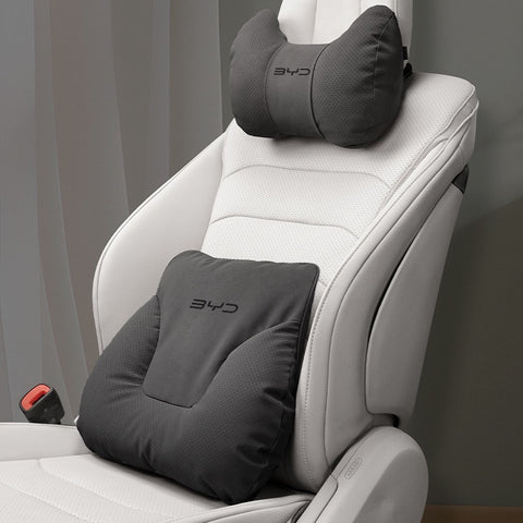 BYD Neck and Lumbar Support Pillow Pack