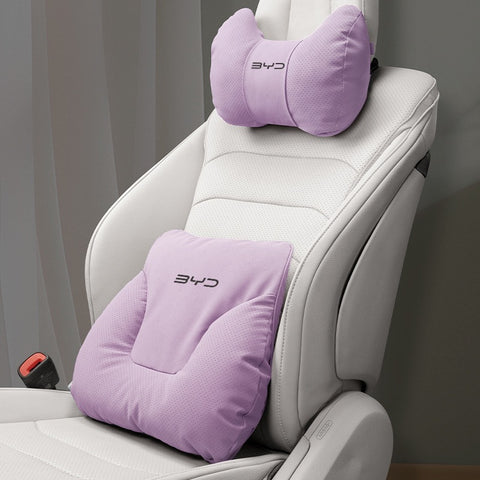 BYD Neck and Lumbar Support Pillow Pack