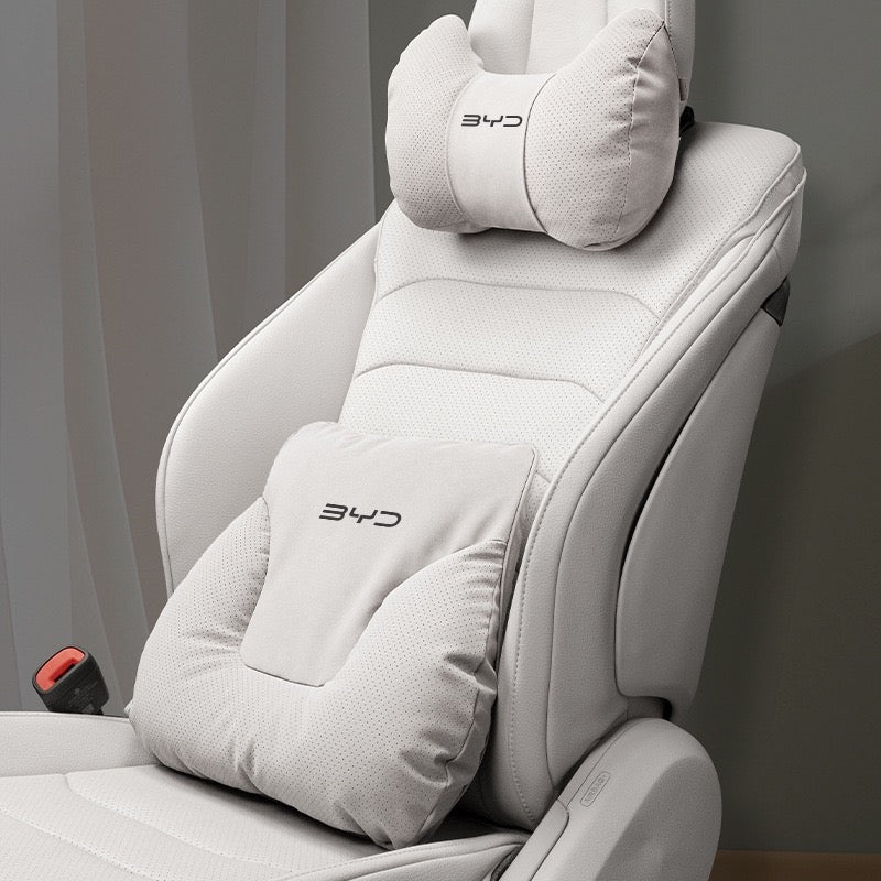 BYD Neck and Lumbar Support Pillow Pack