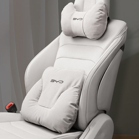 BYD Neck and Lumbar Support Pillow Pack