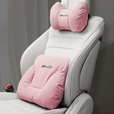 BYD Neck and Lumbar Support Pillow Pack
